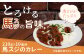 馬スジのカレー10食セット2.1kg