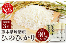 【定期便年3回】令和5年度産 球磨産 ひのひかり 10kg 精米 白米 新米 036-0174