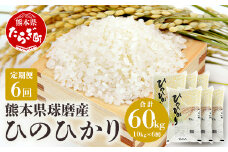 【定期便年6回】令和5年度産 球磨産 ひのひかり 10kg ×6回 精米 白米 新米 多良木町 036-0175