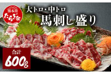 【馬刺し】大トロ 中トロ 馬刺し盛り 計600g ＜ 大トロ 100g ×3 / 中トロ 100g ×3 / 醤油 生姜 セット ＞ 霜降り 小分け 馬肉 赤身 冷凍 国産 馬刺し 030-0232