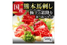 【国産】 熊本 馬刺し 極上の霜降り 食べ比べ セット 計500g ＜ 中トロ 50g×6 / 大トロ 50g×4 ＞ 専用タレ80ml付き 冷凍 小分け パック 国産  058-0684