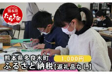 熊本県多良木町への寄附（返礼品はありません）【 ふるさと納税 熊本県 多良木町 応援 寄附 】 028-0344