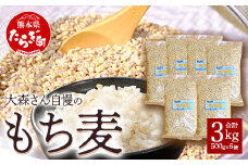 【熊本県産 もち麦】3kg(500g×6袋) 白米 と 炊くだけ！【 もちもち 食感 ぷちぷち  食物繊維 炊飯 健康 高栄養 ポリフェノール  熊本県 多良木町産 】065-0589