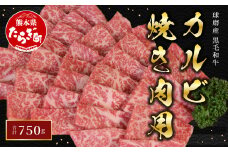 球磨産 黒毛和牛 カルビ 焼き肉 用 750g 前ハラ かいの身 友バラ【 牛肉 和牛 カルビ 食べ比べ 国産 旨味たっぷり 焼肉 JA 】 011-0003
