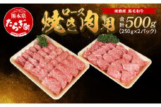 球磨産 黒毛和牛 ロース 焼き肉用 500g（250g×2パック） サーロイン スライス【 小分け 牛肉 ロース 和牛 国産 軟らかい 旨味たっぷり 焼き肉 JA 】011-0065-0