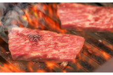 【定期便6回】熊本県産 和牛 肥後のあか牛 焼肉用 500g ×6回 計3kg 【 牛肉 焼き肉 定期便 肉 スライス BBQ アウトドア 焼肉 赤身 】 030-0382