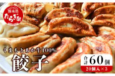 【餃子】 くまもとあか牛 100％ 餃子 計60個（20個×3パック） 冷凍 熊本県産 あか牛 ぎょうざ 惣菜 おかず 和牛 牛肉 赤身 お手軽 簡単 073-0403
