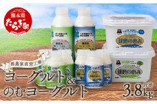 球磨の恵み ヨーグルト & ドリンクヨーグルト 詰め合わせセット 6種 10点【加糖・砂糖不使用】新鮮 生乳使用 とろーり もっちり 加糖ヨーグルト 砂糖不使用 プレーンヨーグルト 食べる 飲む 】074-0446
