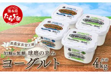 球磨の恵み ヨーグルト 加糖・砂糖不使用 1000g×各2個セット 合計4kg【 新鮮 生乳使用 とろーり もっちり 加糖ヨーグルト 砂糖不使用 プレーンヨーグルト 食べるヨーグルト 】 074-0448