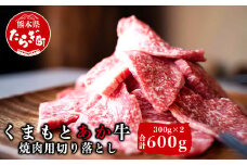 【あか牛】 くまもとあか牛 焼肉用 切り落とし 計600g ＜300g×2パック＞ 小分け 赤身 熊本県産 GI認証取得  和牛 焼肉 ヘルシー 079-0528