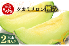 【2025年5月中旬〜順次発送】タカミメロン（極み）大玉2個入り 3.4kg〜4kg メロン 果物 フルーツ 001-0659