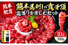 【馬刺し】 熊本 馬刺し の 真骨頂 「 霜降り 」を 楽しむ セット 計500g ＜ 中トロ 50g×10P＞ 専用醤油付き 小分け 冷凍 パック 馬肉 赤身 馬さし バサシ 馬刺 馬刺し 低カロリー 霜降り 国産 058-0269