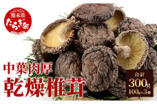 【農林水産大臣賞受賞】槻木産 中葉厚肉 乾燥椎茸 3袋セット 計300g ＜100g×3＞ しいたけ 熊本県 多良木町 原木 シイタケ 【 椎茸 しいたけ シイタケ 槻木 つきぎ 乾燥 乾燥椎茸 干し 椎茸 原木 厚肉 】 026-0573