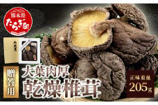 多良木町 槻木産 【農林水産大臣賞】 大葉厚肉 乾燥椎茸 205g 　【 しいたけ 乾燥 シイタケ 原木 大葉 果肉 和食 肉厚 国産 熊本県 熊本 多良木 】 026-0025 