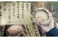 多良木町 槻木産 贈答用 大葉厚肉 乾燥椎茸