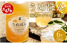 白岳 うめぽん 梅酒 10度 720ml ×6本セット 計4.32L【 うめ酒 デコポン 果汁入り リキュール セット 】 018-0215-0