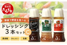 【通常配送】 野菜で野菜を食べる ドレッシング 3本 Cセット ＜ブロッコリー/生姜/黒胡椒＞ サラダ や 肉料理 にも 詰め合わせ 熊本県 多良木町 調味料