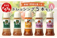 【通常配送】野菜で野菜を食べる ドレッシング 5本 Aセット ＜ブロッコリー 2本/焼き玉葱 2本/ニンジン 1本＞ サラダ や 肉料理 にも 詰め合わせ 熊本県 多良木町 調味料
