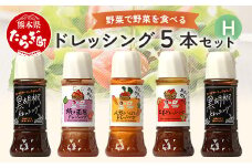【通常配送】野菜で野菜を食べる ドレッシング 5本 Hセット ＜焼き玉葱/ニンジン/生姜/黒胡椒2本＞ サラダ や 肉料理 にも 詰め合わせ 熊本県 多良木町 調味料