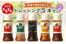 【通常配送】野菜で野菜を食べる ドレッシング 5本 Jセット ＜ニンジン/ブロッコリー/生姜2本/黒胡椒＞ サラダ や 肉料理 にも 詰め合わせ 熊本県 多良木町 調味料