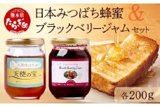 日本みつばち 蜂蜜「天使の宝」＆無農薬 「ブラックベリー ジャム」 セット 【希少 ニホンミツバチ 高純度 垂れ蜜 ハチミツ ジャム 無添加 】094-0002