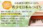 日本みつばち 蜂蜜＆無農薬 ブラックベリー ジャム