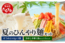 夏 ひんやり麺 セット～冷やし中華 6食＆そうめん 5袋〜 【 涼 麺 冷やし ラーメン ソーメン 夏 食欲増進 さっぱり 夏休みのランチ 】 076-0467