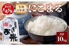 【令和6年産 新米】多良木町産 にこまる 10kg ＜ 5kg ×2袋 ＞ 10月から順次発送 新米 精米 白米 多良木町産 ご飯 お米 米 米どころ多良木 熊本 065-0402-a