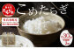 【定期便3回】多良木町産 こめたらぎ 10g（5kg×2袋）×3回 計30kg