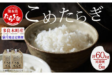 【R6年 新米 定期便全6回】隔月配送 多良木町産 こめたらぎ にこまる 10kg × 6ヶ月 合計60kg 【 白米 精米 熊本県 多良木町 自然 豊か グランプリ 農家 多良木のびる 】 044-0584-b