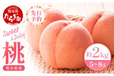 【先行予約】 桃 (5～8玉) 約 2kg 「厳選した桃をお届けします！」 2025年6月下旬～順次発送《 先行予約 受付 桃 もも ピーチ 熊本県 球磨 産 果物 フルーツ 甘い ジューシー 》 087-0656