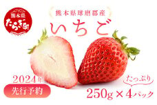 【2024年1月下旬発送開始】球磨産 イチゴ 250g×4パック 先行予約 苺 いちご 【 イチゴ 苺 フルーツ 果物 春 名産 熊本 多良木町 ビタミン 旬 先行予約 】004-0038