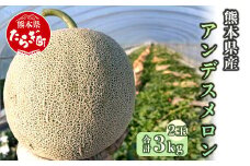 【2025年5月上旬以降発送分 先行予約】熊本県産 アンデスメロン  2玉 合計約3kg 【 果物 フルーツ 旬 ネットメロン 熊本県 多良木町 農家直送 贈り物 ギフト ご褒美 】 089-0687-a