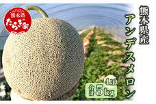 【2025年5月上旬以降発送分 先行予約】熊本県産 アンデスメロン 4玉 合計約5kg  【 めろん 4玉 特大 果物 フルーツ 旬 ネット メロン 熊本県 多良木町 農家直送 贈り物 ギフト ご褒美 】 089-0688