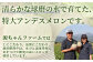 熊本県産 アンデスメロン 約5kg 4玉