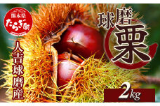 【2025年9月下旬から順次発送】JAくま 【球磨 栗】 2kg 先行予約 栗 くり 熊本県産 多良木町 くり マロン 和栗 旬 味覚 甘い ほっくり 山海の味覚 和 スイーツ フルーツ 果物 くだもの 果実 004-0040