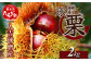 【球磨 栗】 2kg