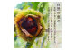 【球磨 栗】 2kg
