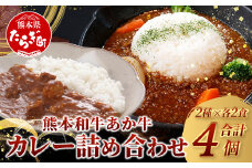 熊本和牛 あか牛 カレー 2種 詰め合わせ ≪あか牛カレー180g×2・あか牛100％挽肉カレー220g×2≫【 あか牛 牛肉 肉 カレー スパイシー 熊本産 国産牛 和牛  】046-0625