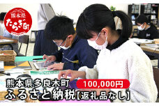 熊本県多良木町への寄附（返礼品はありません）【 ふるさと納税 熊本県 多良木町 応援 寄附 】028-0344-100