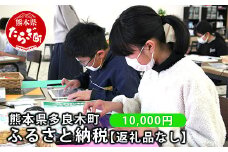 熊本県多良木町への寄附（返礼品はありません）【 ふるさと納税 熊本県 多良木町 応援 寄附 】028-0344-10