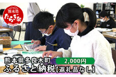 熊本県多良木町への寄附（返礼品はありません）【 ふるさと納税 熊本県 多良木町 応援 寄附 】 028-0344-02