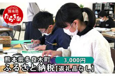 熊本県多良木町への寄附（返礼品はありません）【 ふるさと納税 熊本県 多良木町 応援 寄附 】 028-0344-03