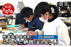 熊本県多良木町への寄附（返礼品はありません）【 ふるさと納税 熊本県 多良木町 応援 寄附 】 028-0344-20