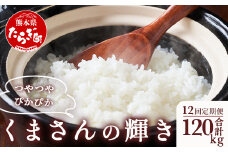 【R6年産米 定期便12回】多良木町産 『くまさんの輝き』 10kg(5kg×2袋)×12回 【計 120kg 】 定期便 定期配送 毎月届く 精米 お米 米 艶 粘り 甘み うま味 もちもち 熊本のお米  5kg 10キロずつ 熊本県 多良木町 】 044-0591
