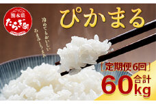 【R6年産米 定期便6回】多良木町産 『ぴかまる』 10kg(5kg×2)×6回 【計 60kg 】 定期便 定期配送 精米 お米 米 艶 粘り 甘み うま味 もちもち 熊本のお米 10キロずつ 60キロ 半年 毎月 熊本県 多良木町  044-0594