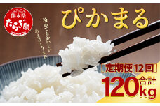 【R6年産米 定期便12回】多良木町産 『ぴかまる』 10kg(5kg×2)×12回 【計 120kg 】  定期便 定期配送 精米 お米 米 艶 粘り 甘み うま味 もちもち 熊本のお米 10キロずつ 120キロ 1年 毎月届く 熊本県 多良木町 044-0595