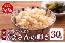 【令和7年産 玄米 】10月中旬～発送 先行予約 多良木町産 『くまさんの輝き 玄米』 30kg 玄米 熊本県 たらぎ お米 米 熊本県 30キロ  044-0598