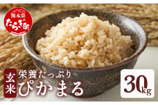【令和6年産 玄米 】 多良木町産 『ぴかまる』 30kg【 玄米 熊本県 たらぎ お米 米 艶 粘り 甘み うま味 やわらか 熊本のお米 30キロ 栄養価 げんまい 】 044-0599