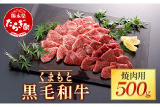 【くまもと黒毛和牛】焼肉用 500g  ブランド牛 黒毛和牛 焼肉 焼き肉スライス やきにく 肉 牛肉 多良木町 国産 和牛 030-0702